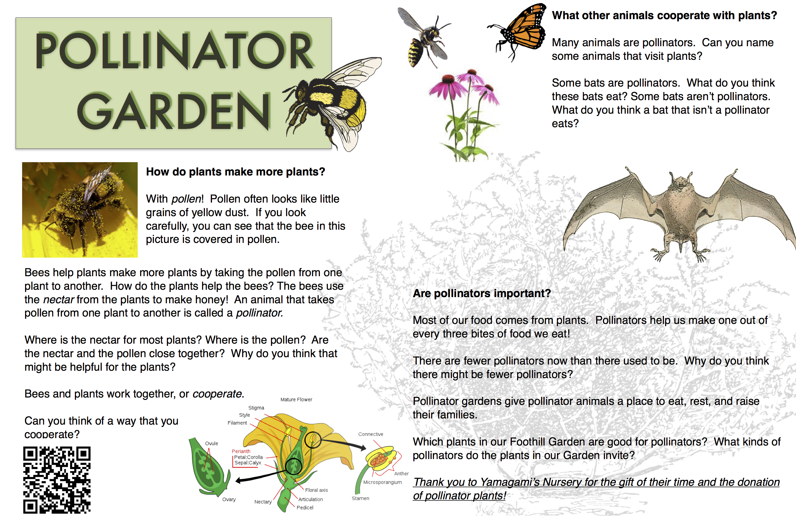 Pollinator Garden – Saratoga Foothill Elementary PTA